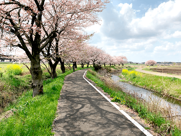 近隣には、春色に染まった遊歩道があり、ウオーキングに最適です。この景色を多くの方に知ってもらう事も、社会環境づくりのひとつです。