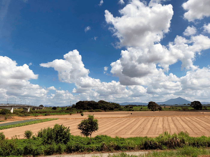 鬼怒川沿いの田畑